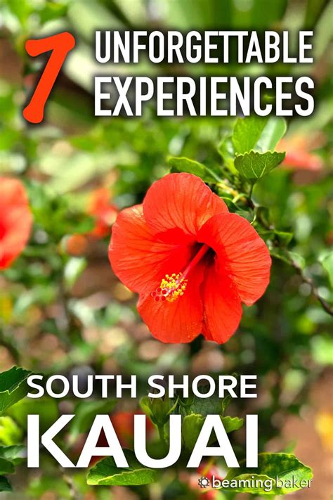 3 days in kauai the perfect garden island itinerary – Artofit