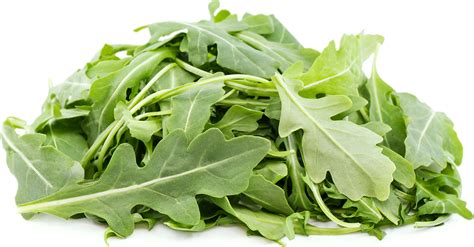 Wild Arugula Information Recipes And Facts