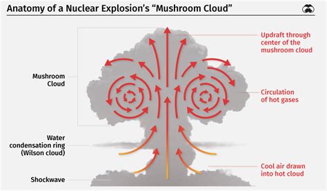 The Top 10 Largest Nuclear Explosions Visualized Acnews