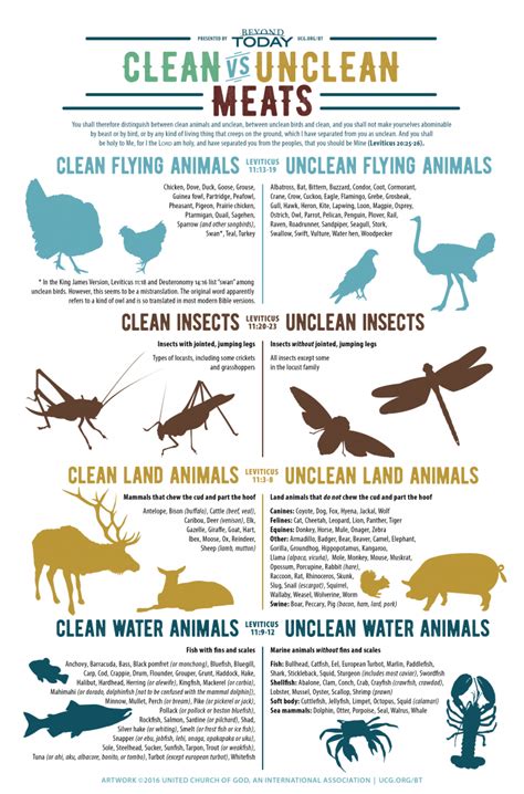 Infographic Which Animals Does The Bible Designate As Clean And