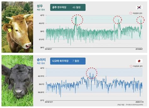 카메라 어플로 브이로그 촬영하기 초보 유튜버 모여라 스노우 유라이크 소다 푸디 필르믹프로 filmic pro 화질 좋은 영상 어플 추천. 유라이크코리아, 소 코로나바이러스 감염 생체데이터 공개 - MBN
