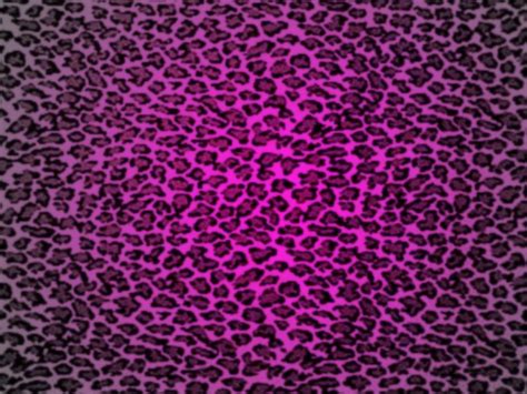Download Purple Leopard Print Background Image Graphic Picture Photo