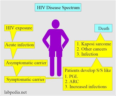 Human Immunodeficiency Virus Hiv Aids Acquired Immunodeficiency