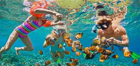 The Best Caribbean Snorkeling Sites