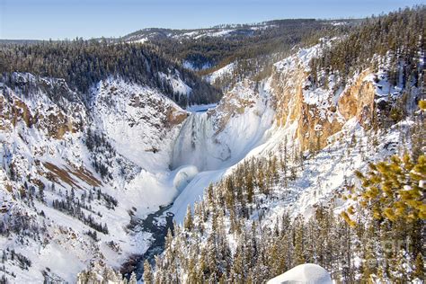 winter at grand canyon of the yellowstone photograph by carolyn fox fine art america