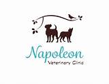 Images of Napoleon Vet Clinic