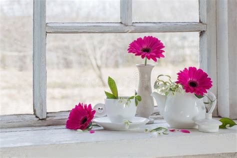 Flowers On Window Sill Stock Image Image Of Seasonal 89355047