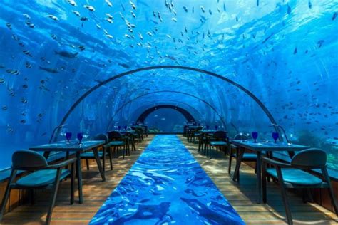 Hurawalhi Island Resort Your Guide To The Best Maldives Resorts