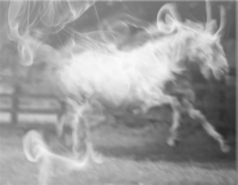 Smoke Horse By Netarrow On Deviantart
