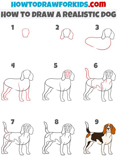 How To Draw A Realistic Dog Easy Drawing Tutorial For Kids