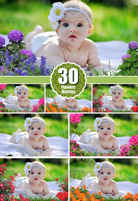 Flower Photo Overlay Photoshop Overlay Flower Overlay Mroverlay