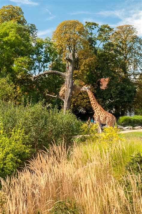 Maybe you would like to learn more about one of these? Le Parc de la Tête d'Or à Lyon