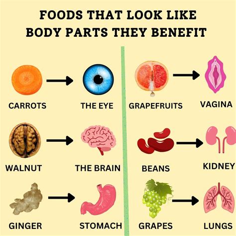 Foods That Look Like The Body Parts They Benefit By Victory Health