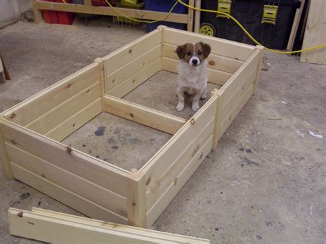 5 diy alternatives to whelping boxes. WOODEN DOG PUPPY WHELPING BOX BED VERY HIGH QUALITY 3 ...