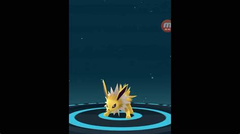 You need 25 eevee candy to evolve this pokemon. Pokemon Go !!!! Evolve Eevee into Jolteon !!! Nickname ...