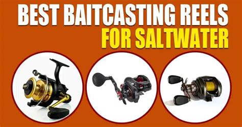 Best Baitcasting Reels For Saltwater Top Picks Reviewed