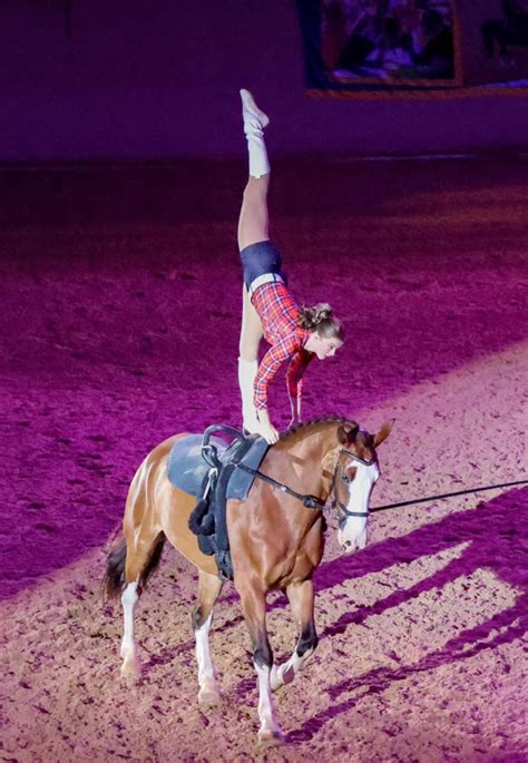 Triangle Equestrian Vaulting Takes Center Stage 2023 Camden Horse