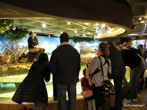 New England Aquarium Boston Where Gumbo Was 192 Travelgumbo