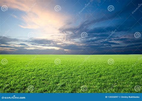 Field Of Green Fresh Grass On Sunset Stock Image Image Of Meadow