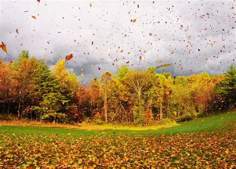Autumn Wind Wallpapers High Quality Download Free