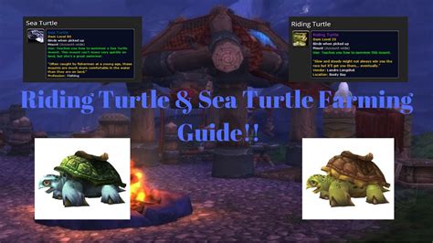 How To Obtain Rare Tcg Mount Riding Turtle And Rare Sea Turtle In