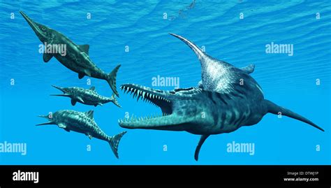 Liopleurodon Was A Giant Marine Reptile That Hunted Ichthyosaurus