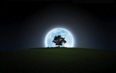 Black And White Wallpapers Full Moon And Tree Wallpaper
