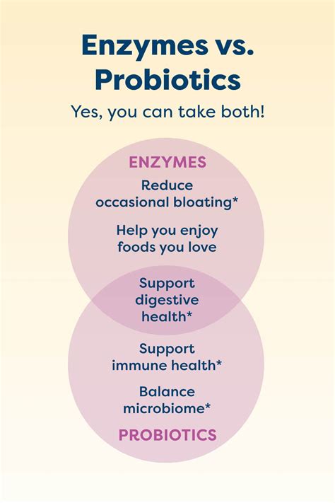 Enzymes 101 What Are Enzymes Renew Life