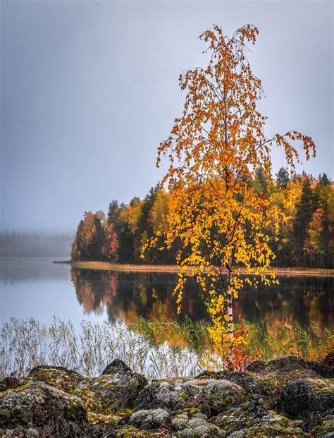 Autumn Finland By Asko Kuittinen 🍂🇫🇮 Nature Finland Natural Beauty
