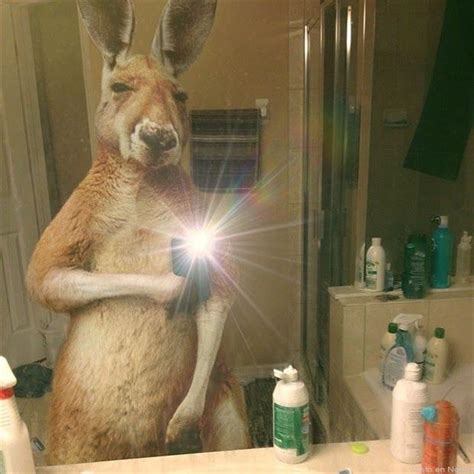 24 Animals Who Take Better Selfies Than You
