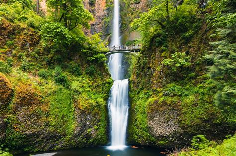 10 Best Hiking Trails Around Portland Portlands Most Popular Hiking