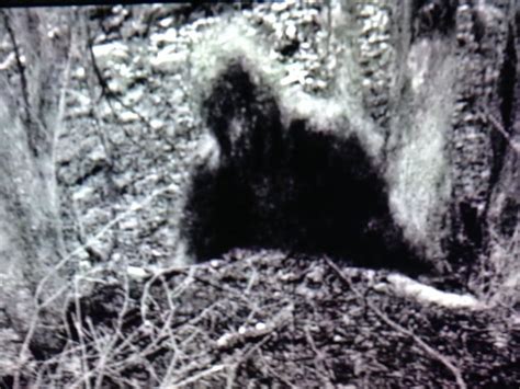 The Kentucky Grassman In 2020 Creepy Pictures Bigfoot Documentary