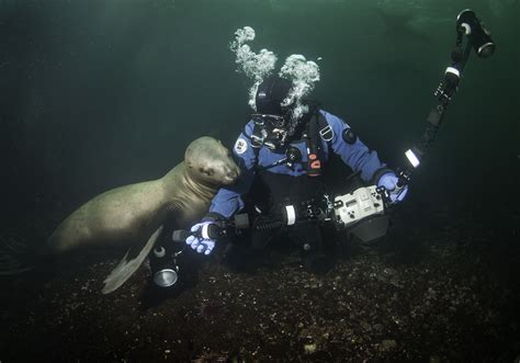 Richard Salas Underwater Photographyrichard Salas Underwater Photography