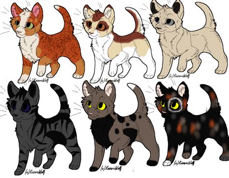 Warrior Cats Characters Shadowclan Care About Cats
