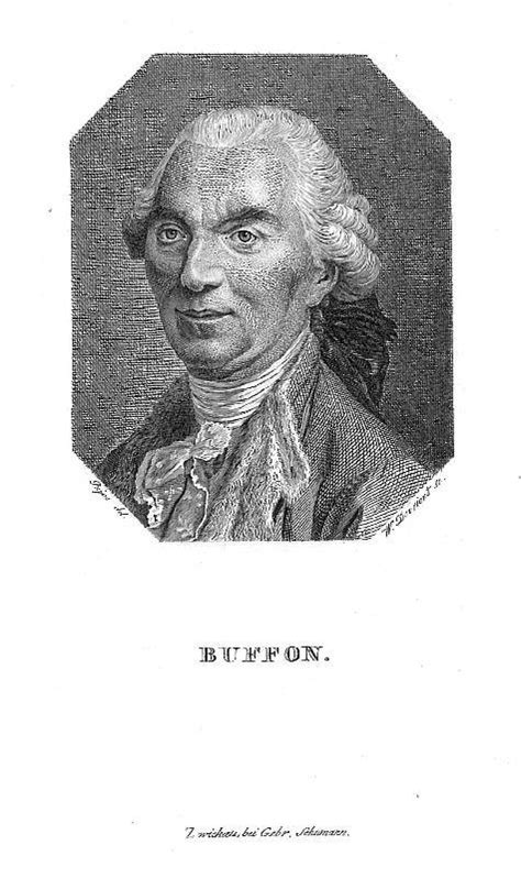 Buffon Georges Louis Leclerc Comte De 1707 1788 Brustbild Nach