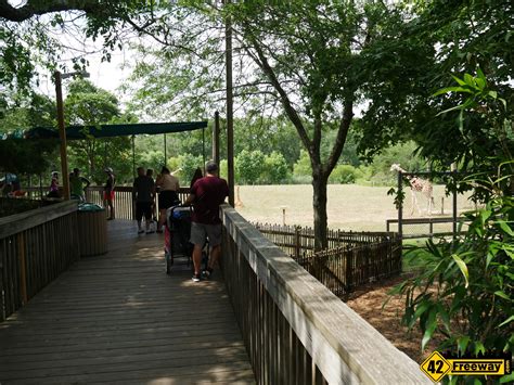 Cape May County Zoos New Safari Cafe And We Tour The Zoo 42 Freeway