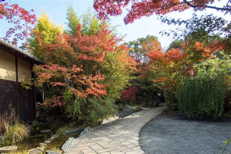 秋の京都 ザ ソウドウ 東山 京都 : 季節の花便り はなつうWEST Blog
