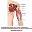 Supraspinatus Muscle Shoulder Arm Pain Frozen Rotator Cuff 