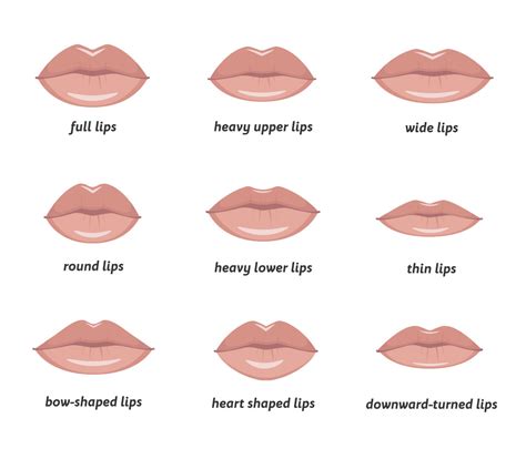 Perfect Lip Shape