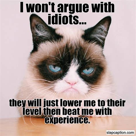 Slapcaption Com Caption Funny Photos And Meme Gallery Grumpy Cat Funny Grumpy Cat Memes