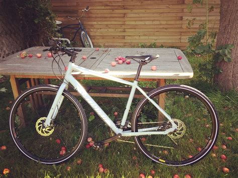 Body geometry women's riva sport plus, steel rails, 155mm. Stolen 2016 Specialized Vita Sport Women's