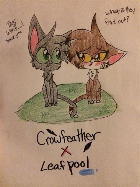 Leafpool And Crowfeather Warrior Cats Art Warrior Cat Drawings Warrior Cats