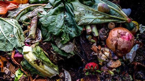 Astuces Pour Bien R Ussir Son Compost Ici Explora