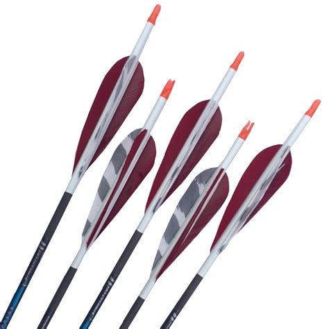 The Archery Company Carbon Express Predator Ii 700 Arrows Inc Points