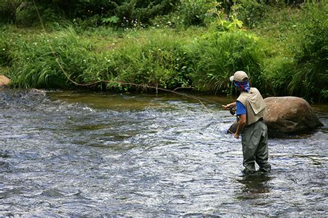 The 5 Best Fly Fishing Spots In Pennsylvania