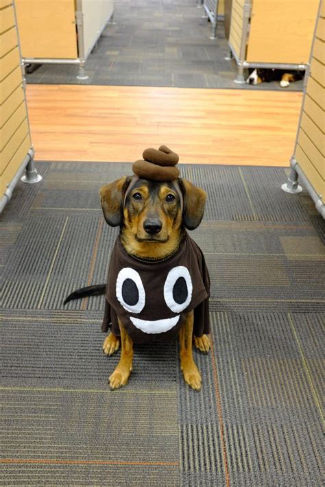 Everyones Favorite Emoji Happy Howloween Cute Dog Costumes Dog