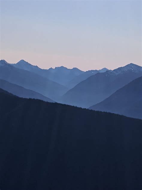 4k Free Download Hurricane Ridge Dusk Forest Mountains Sky View