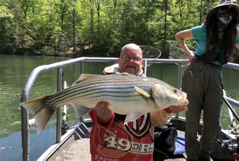 A Look Behind The Scenes Of Striped Bass Management In Virginias Lakes