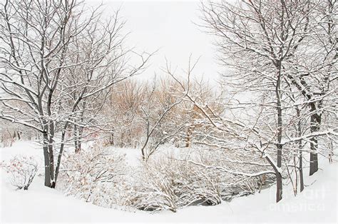 Winter Solitude Photograph By Regina Geoghan Fine Art America