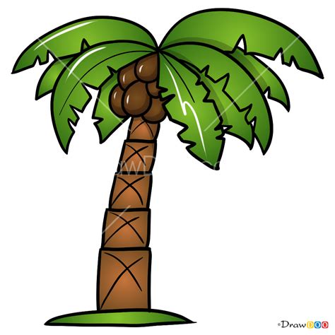 Drawing Of Palm Tree Drawing Image